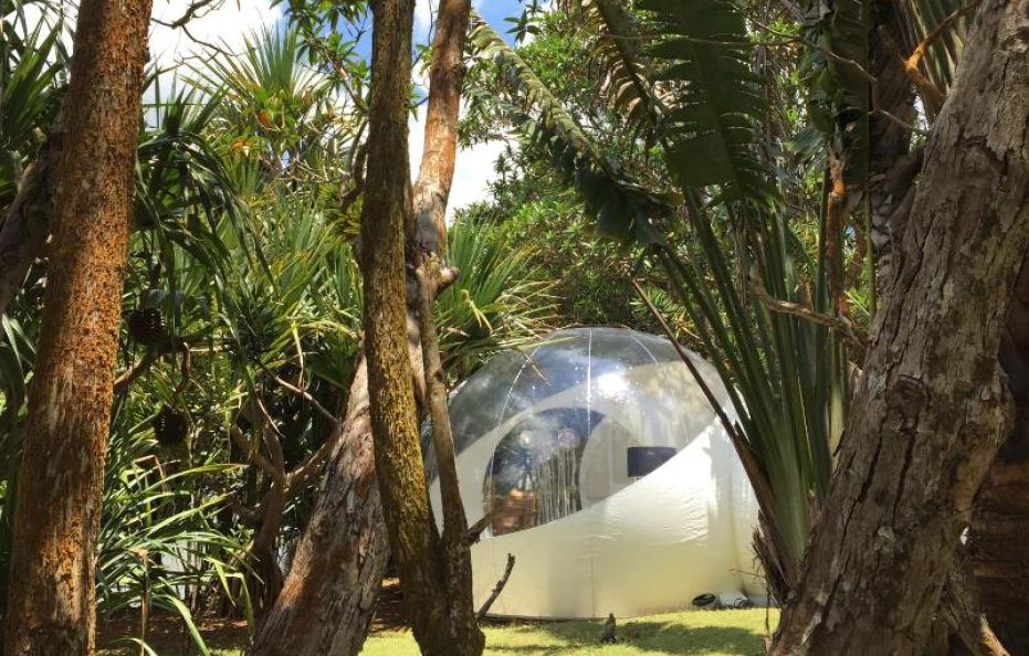 Bubble Lodge Bois Chéri
