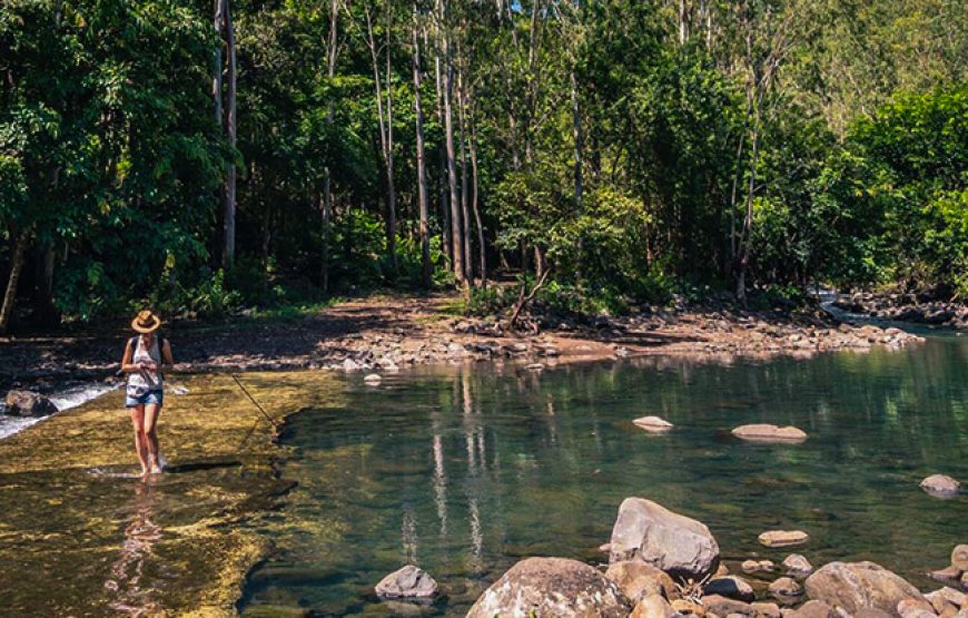 Experience the Ultimate Black River Gorges Hike in Mauritius