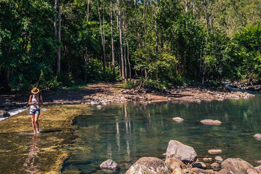 Black River Gorges National Park