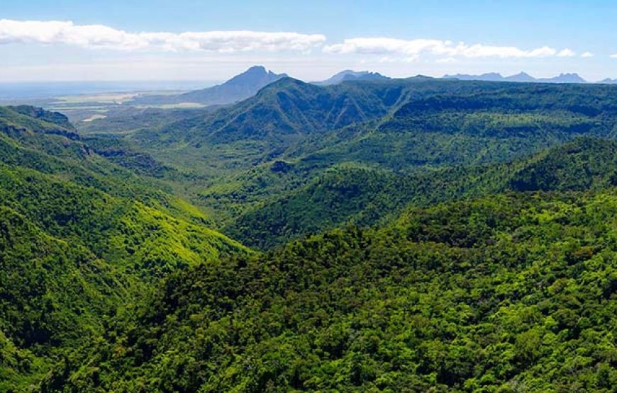 Experience the Ultimate Black River Gorges Hike in Mauritius