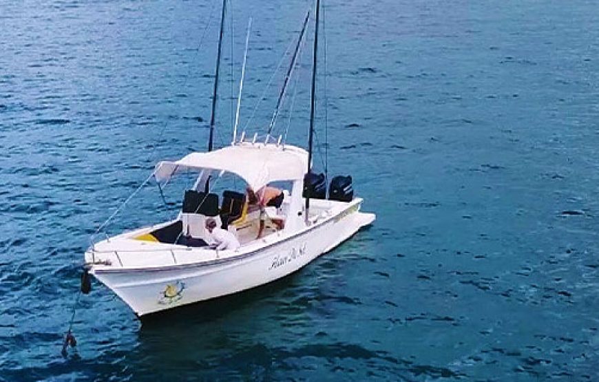 Fishing Excursion South West Coast Mauritius Excursions