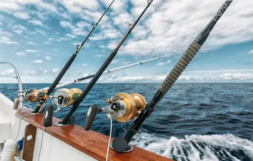 Fishing Excursion South West Coast Mauritius Excursions
