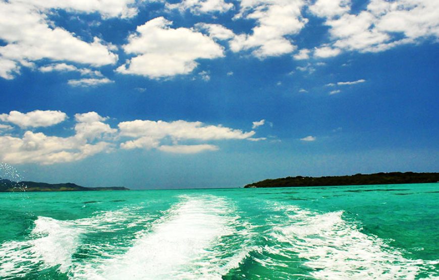 Ile Aux Aigrettes Island – Visit & Tour