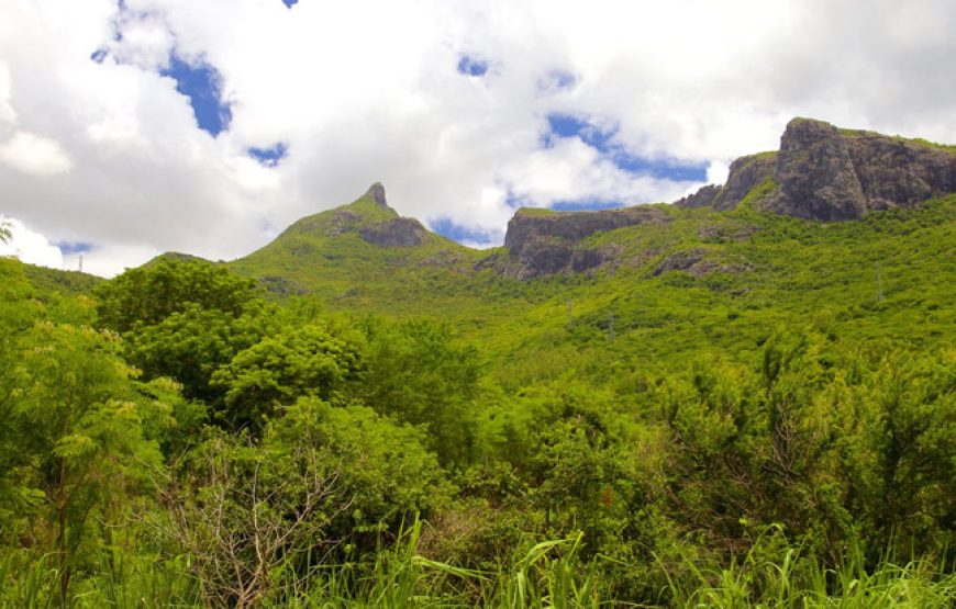 Le Pouce Mountain Trail : Hidden Secrets of Mauritius’s Thumb Peak