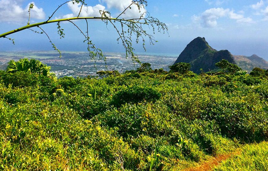 Le Pouce Mountain Trail : Hidden Secrets of Mauritius’s Thumb Peak