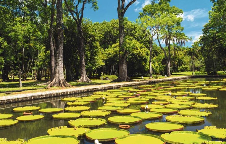 Mauritius National Botanical Garden