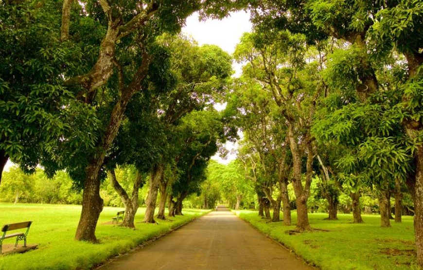 Mauritius National Botanical Garden