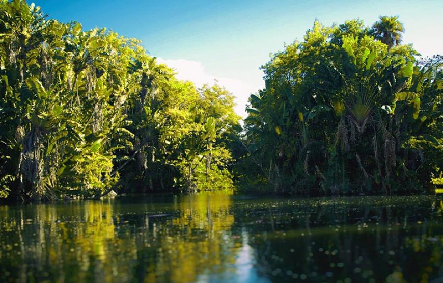 Mauritius National Botanical Garden