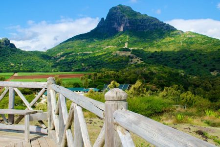 Visit to Casela Nature Parks Balcony view