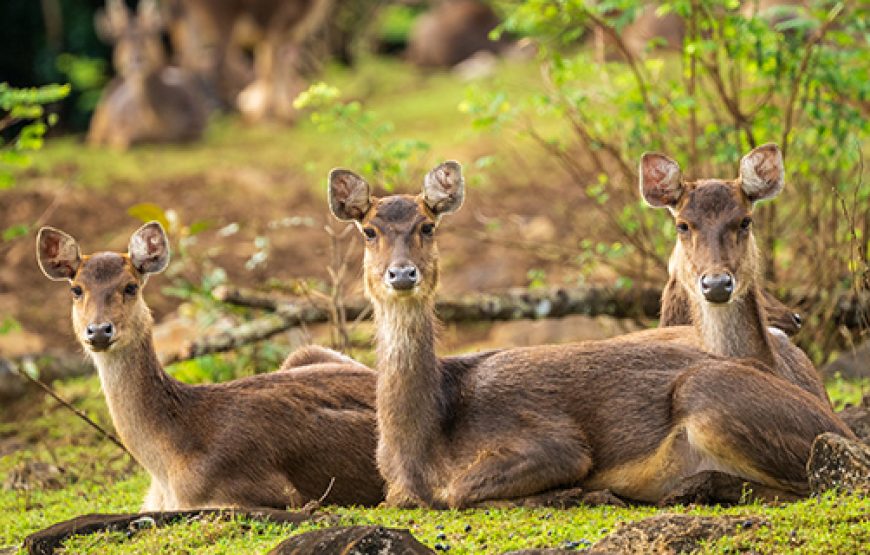 Visit to La Vallee des Couleurs Nature Park