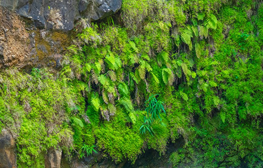 Visit to La Vallee des Couleurs Nature Park
