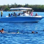 West Coast Speed Boat Tour Swim with Dolphins Mauritius