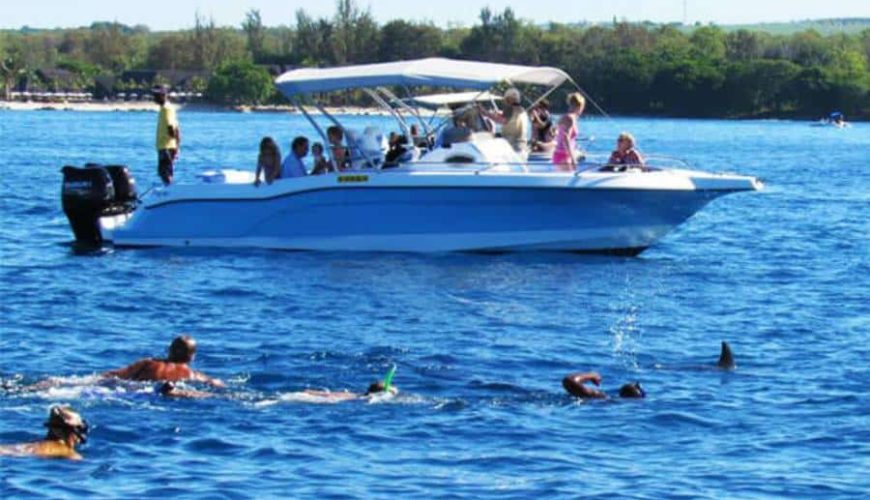 West Coast Speed Boat Tour Swim with Dolphins Mauritius