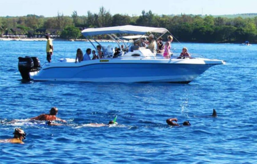Swim with Dolphins in Mauritius West Coast – Speed Boat Adventure