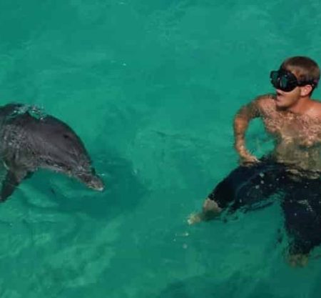 West Coast Speed Boat Tour Swim with Dolphins Mauritius4
