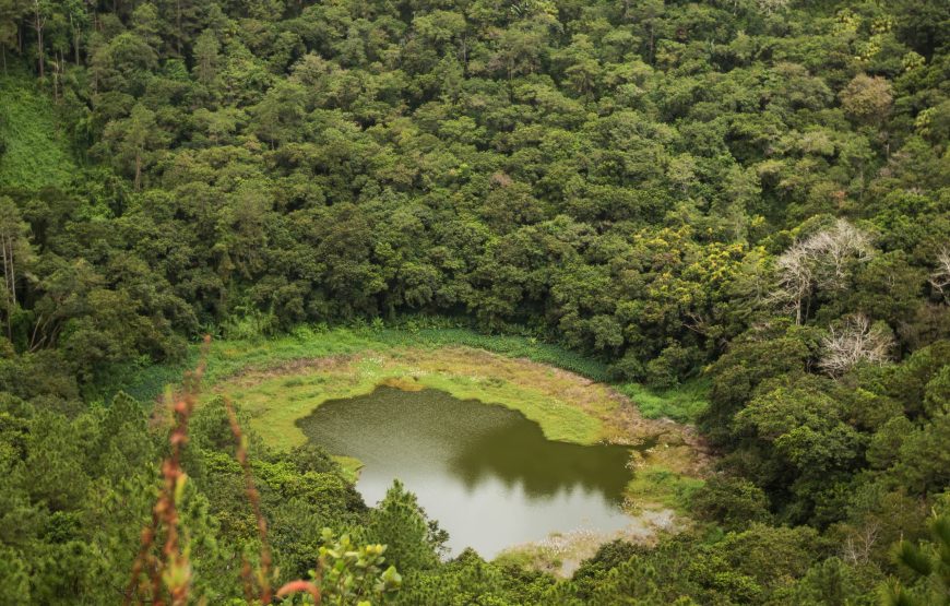 Trou aux Cerfs Volcano Review: Hidden Secrets Most Tourists Miss