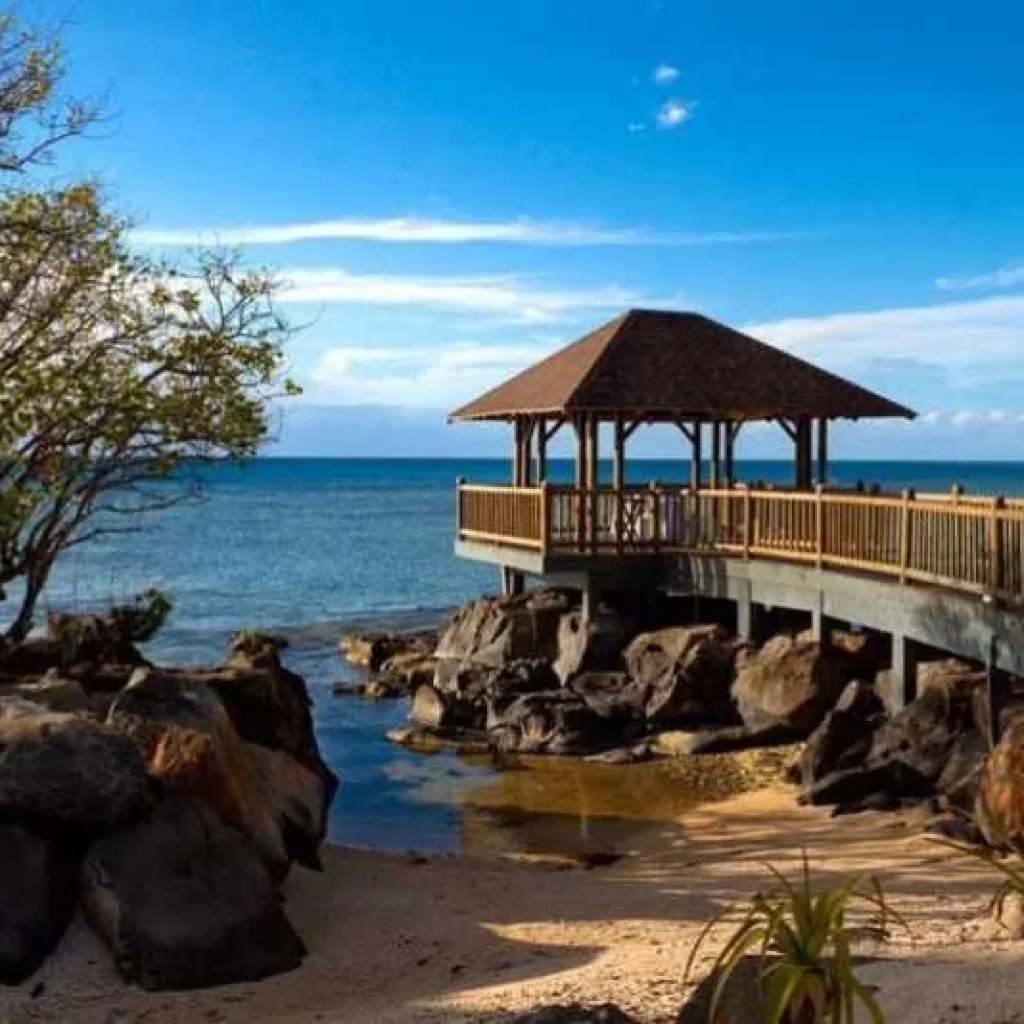 dmc-in-mauritius-1