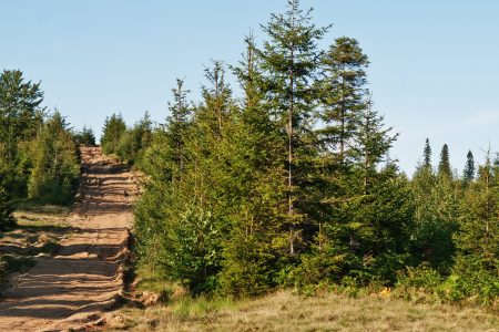 Le Pouce Mountain Trail
