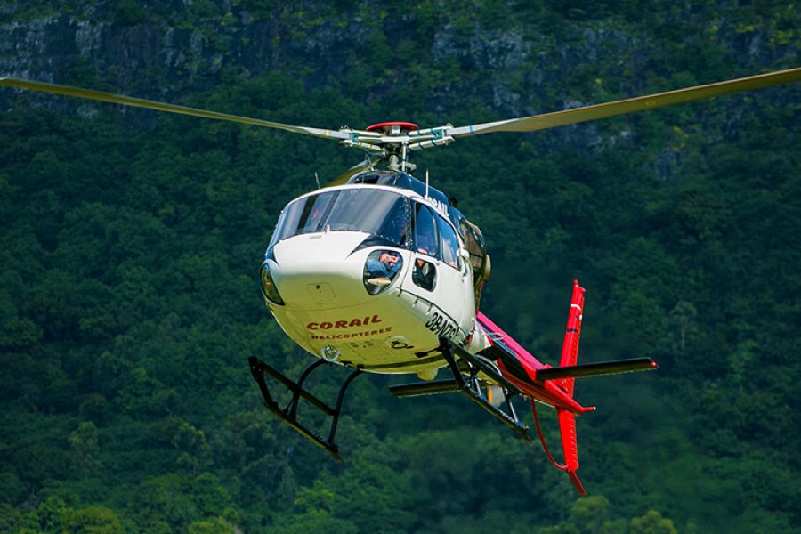 vPrivate Airport Helicopter Sightseeing Tour view5
