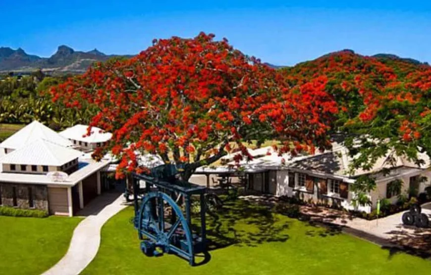 Mauritius North Tours