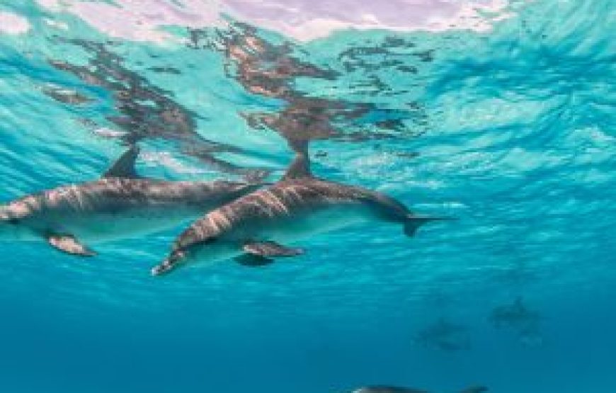 West Coast Mauritius Catamaran Tour