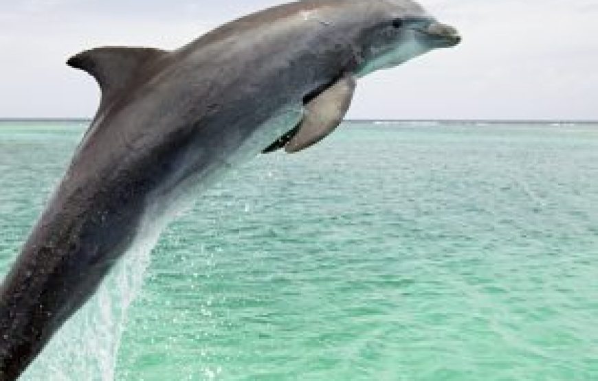 West Coast Mauritius Catamaran Tour