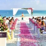 Decoration-and-floral-