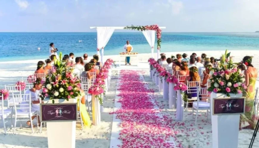 Decoration-and-floral-