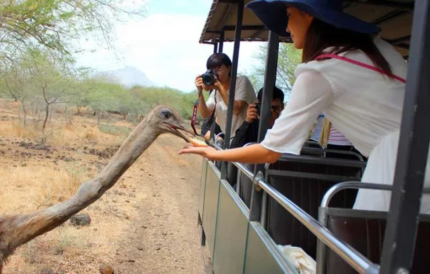 Casela Nature Park Adventures Expedition