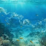 Mauritius Sea Temperatures