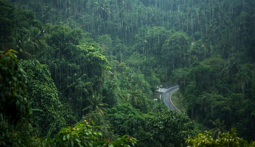 Rainfall in Mauritius