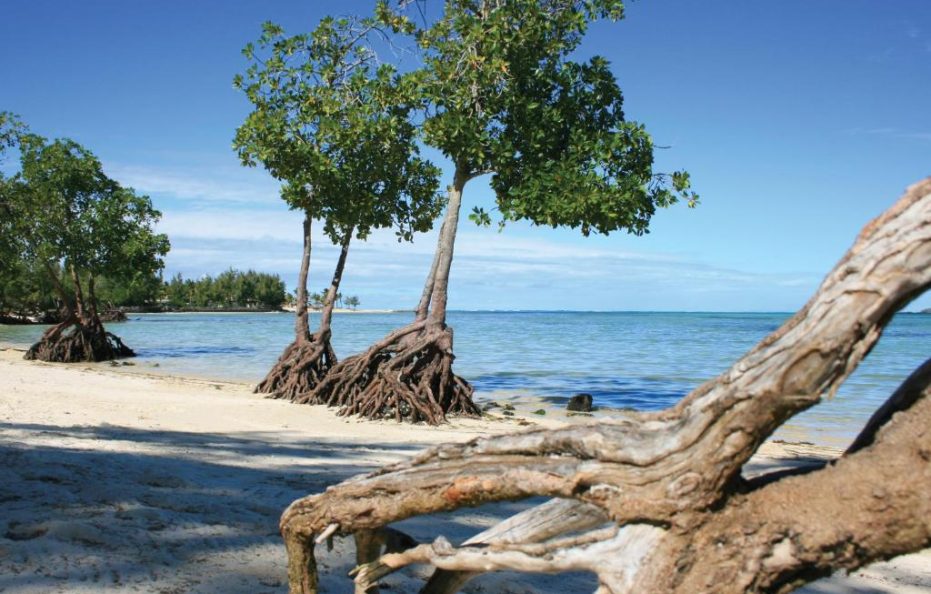 Jalsa Beach Hotel