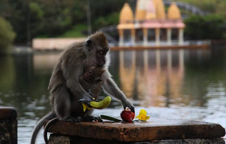Ganga Talao – Sacred Crater Lake Mauritius
