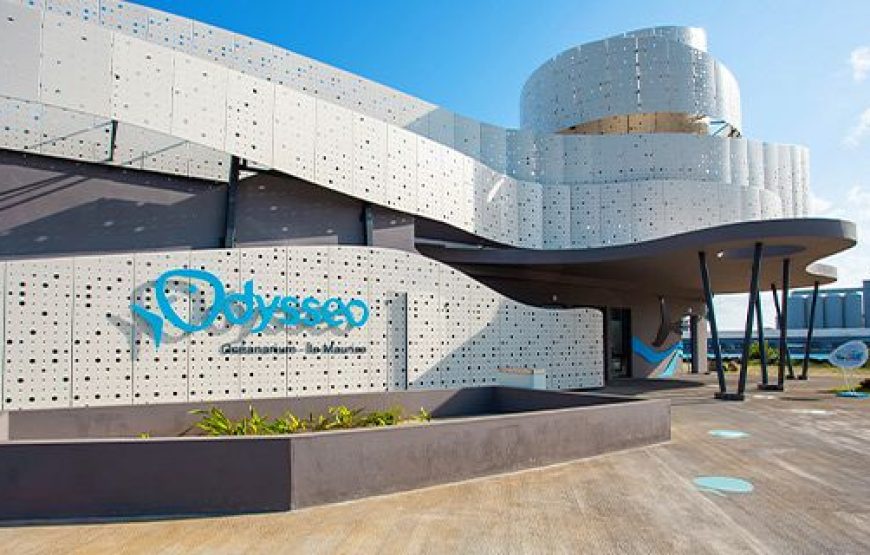 Odysseo Mauritius Aquarium Tested: What Nobody Tells You About This Ocean Paradise