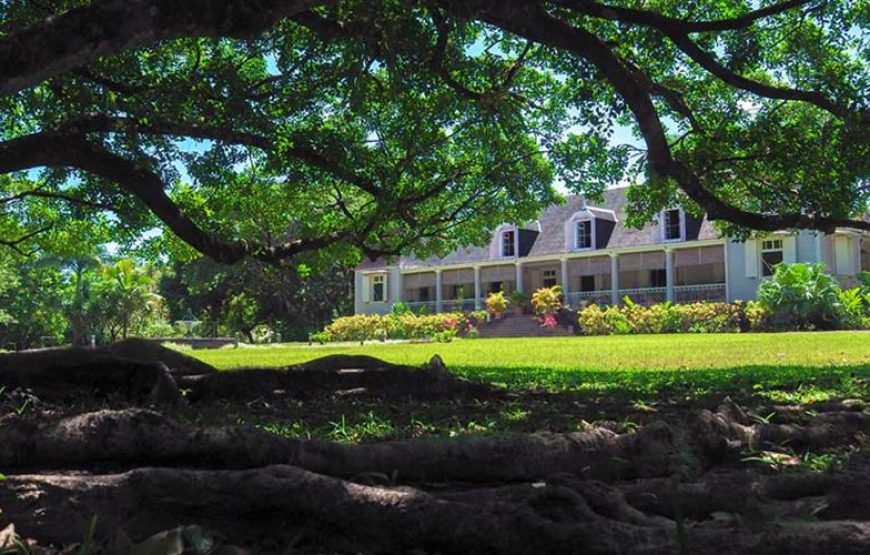 Saint-Aubin Domain Experience: A Local’s Guide to Mauritius’ Best-Kept Secret