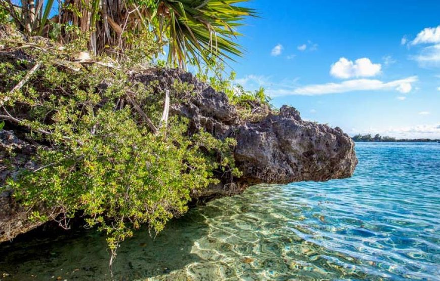 Ile Aux Aigrettes Island – Visit & Tour