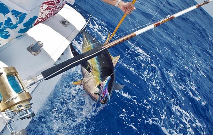 Deep Sea Fishing Grand Baie