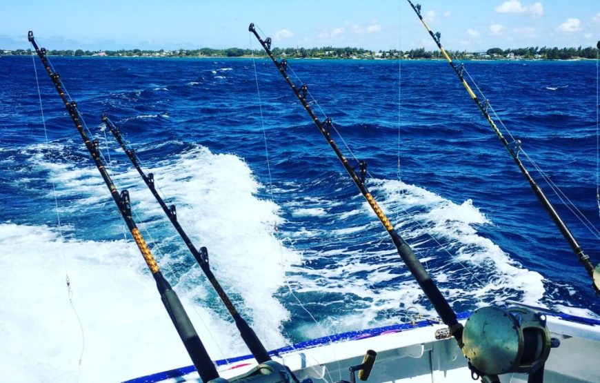 Deep Sea Fishing Grand Baie