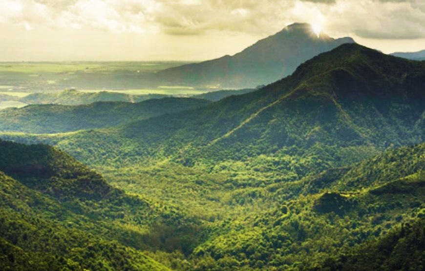 The Perfect Half-Day at Black River Gorges National Park