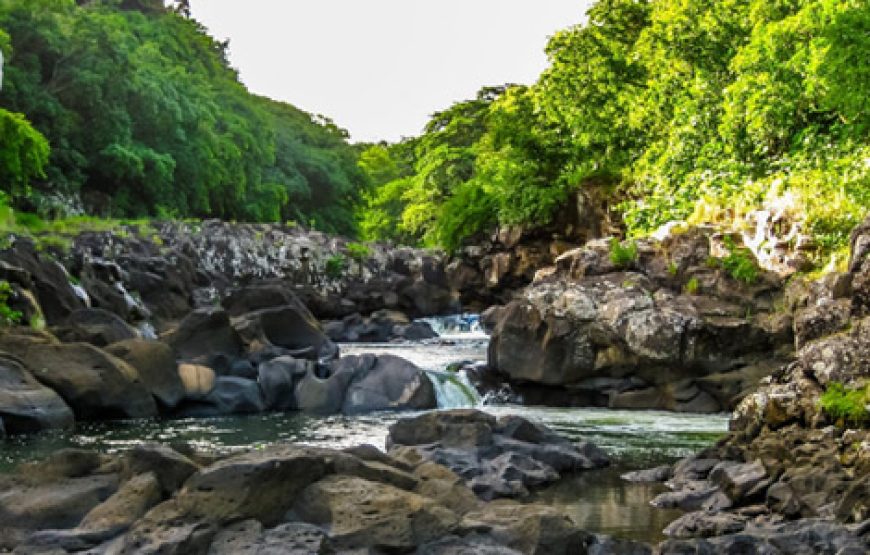 The Perfect Half-Day at Black River Gorges National Park