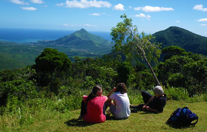 The Perfect Half-Day at Black River Gorges National Park