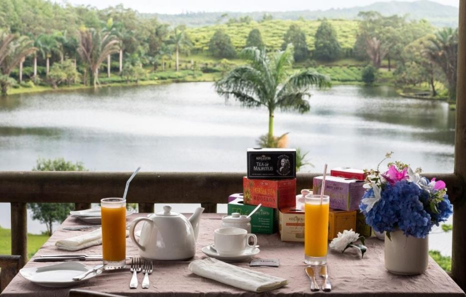 Tea Plantation Bubble Suite