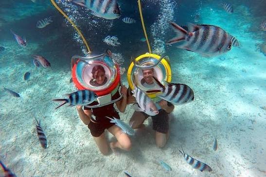 Private Snorkelling Trips in Mauritius