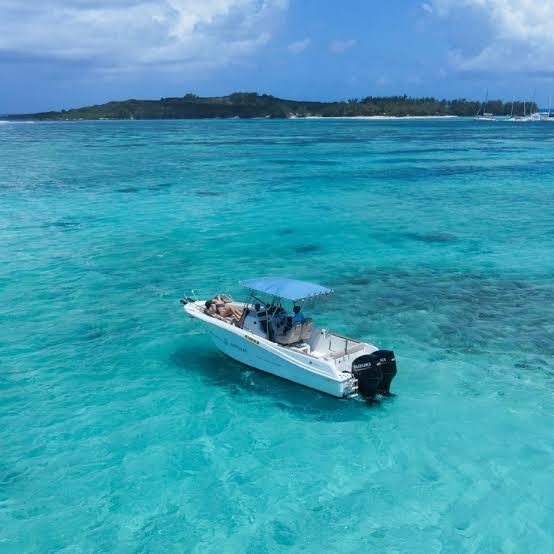 Dolphin Watching and Speedboat Tours Mauritius