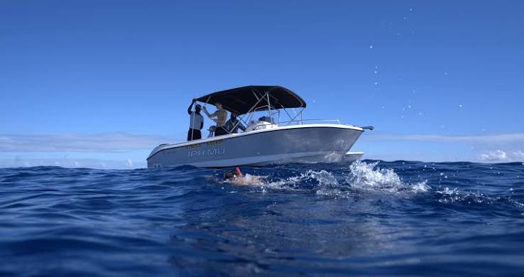 Dolphin Watching and Speedboat Tours Mauritius