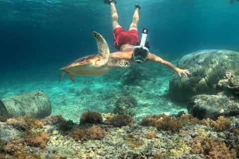 Private Snorkelling Trips in Mauritius