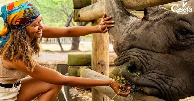 Rhino Interaction at Casela