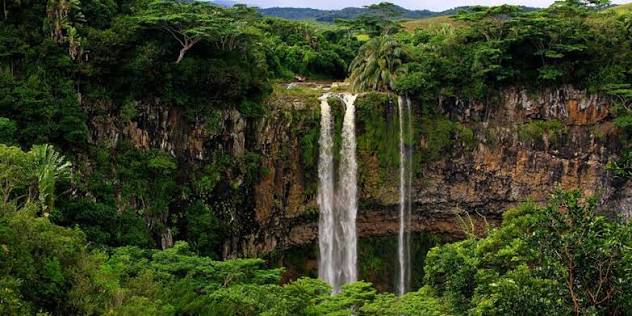 Endemic Mauritius Nature Tour