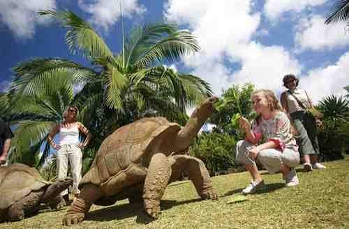 Endemic Mauritius Nature Tour