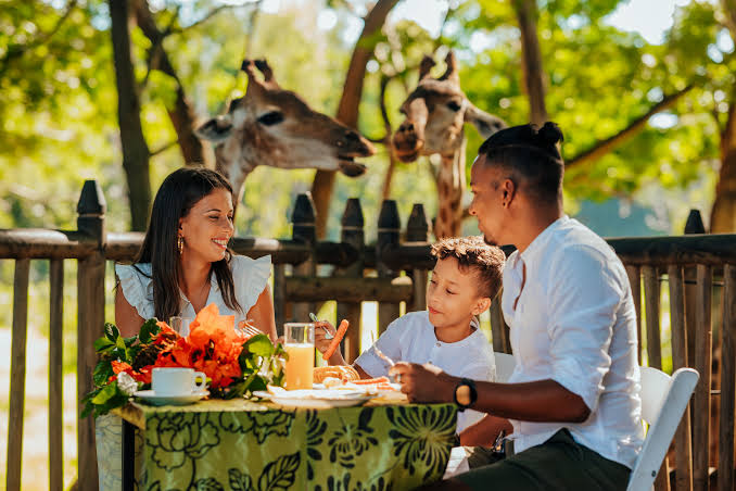 Breakfast with Giraffes at Casela